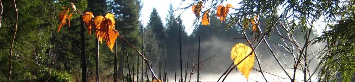 Yellow Point Ecological Society