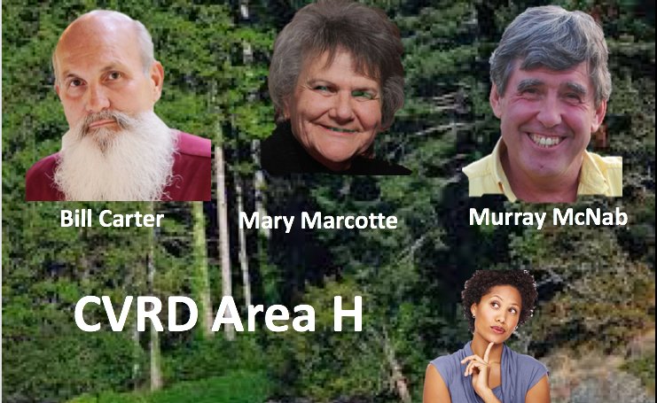 CVRD Area H