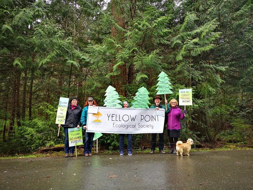 56306706_10156288203271446_8858767839281020928_n-2