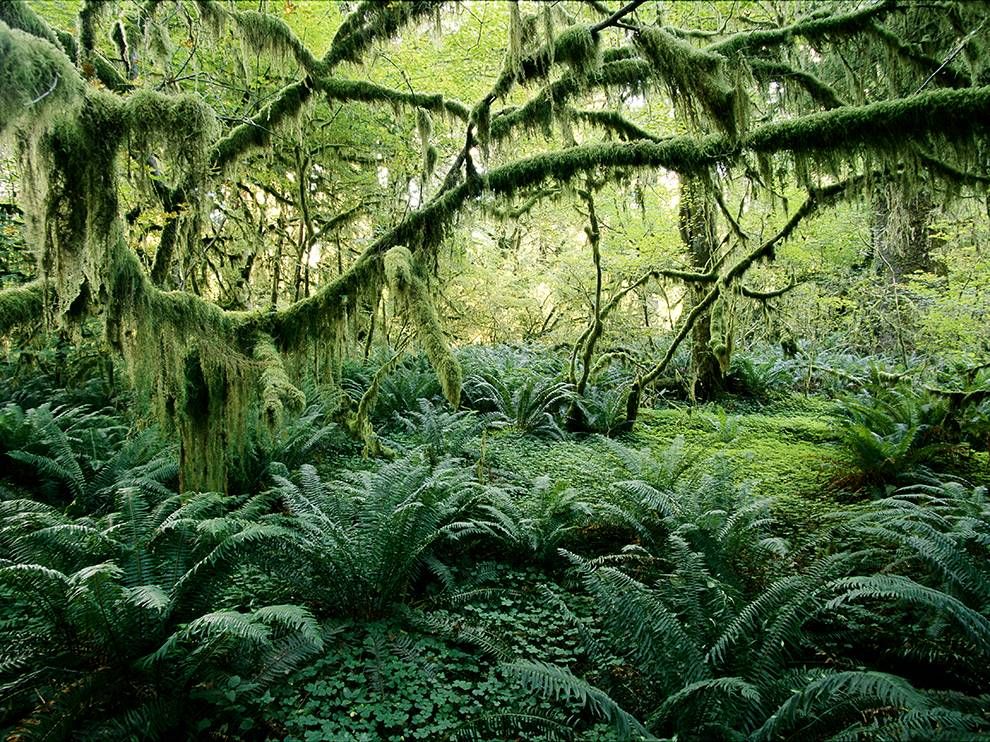 4722ce852345f5bbea12e17e2a8eb164