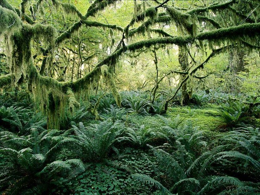 4722ce852345f5bbea12e17e2a8eb164